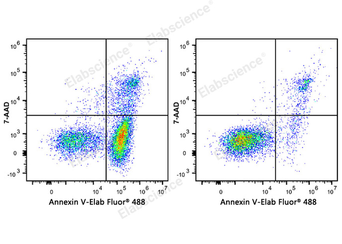 Annexin V-Elab Fluor® 488/7-AAD Apoptosis Kit-1