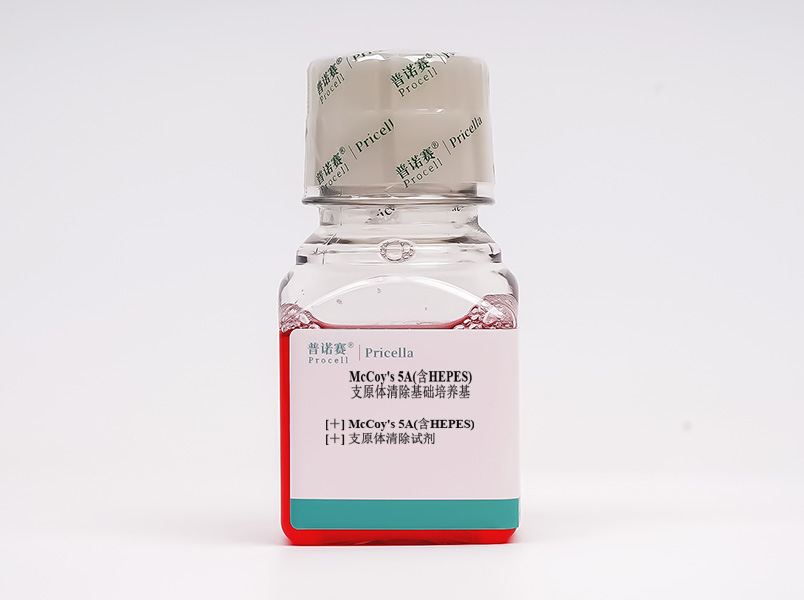 https://789.bio/ec/00RdeL