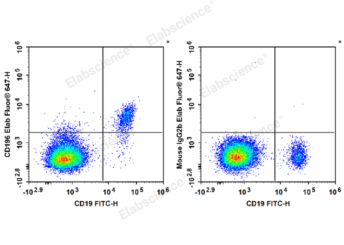 Human peripheral blood lymphocytes are stained with FITC Anti-Human CD19 Antibody and Elab Fluor® 647 Anti-Human CD196/CCR6 Antibody (Left). Lymphocytes are stained with FITC Anti-Human CD19 Antibody and Elab Fluor® 647 Mouse IgG2b, κ Isotype Control (Right).