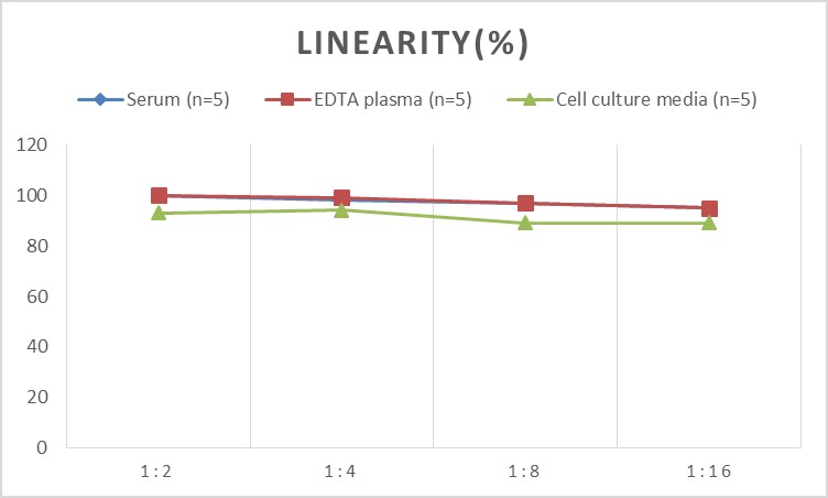 High Sensitivity Rat TNF-α(Tumor Necrosis Factor Alpha) ELISA Kit-产品推荐-6