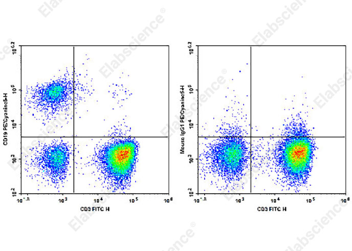 PE/Cyanine5 Anti-Human CD19 Antibody[SJ25C1]-1
