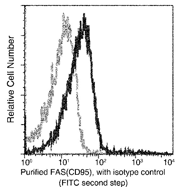 Recombinant CD95/APO-1/TNFRSF6/FAS Monoclonal Antibody - small - 2