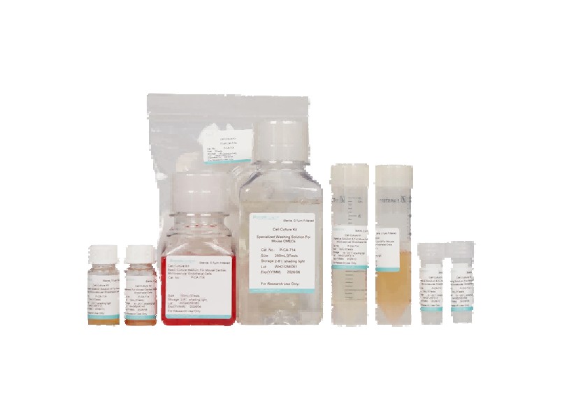 Mouse Cardiac Microvascular Endothelial Cell Isolation and Culture Kit