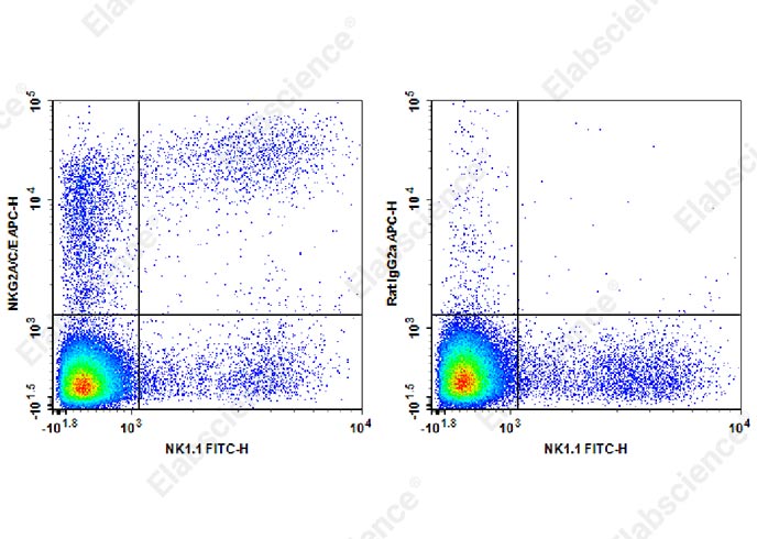 APC Anti-Mouse NKG2A/C/E Antibody[20d5]-1