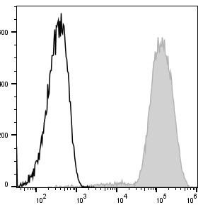 C57BL/6 murine bone marrow cells are stained with APC Anti-Mouse/Human CD11b Antibody (filled gray histogram). Unstained bone marrow cells (empty black histogram) are used as control.