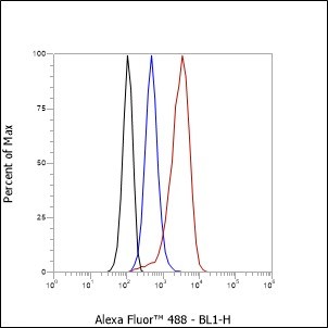 Recombinant PITX2/RGS Monoclonal Antibody - small - 2