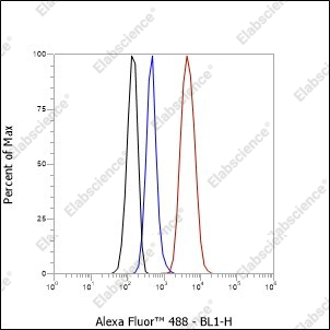 Recombinant hCG beta Monoclonal Antibody - 3