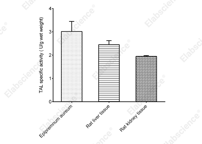 Tyrosine Ammonia-lyase (TAL) Activity Assay Kit - 1