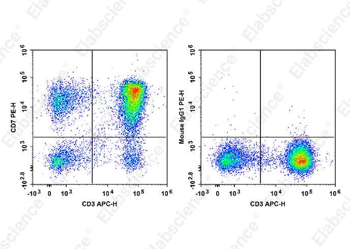 PE Anti-Human CD7 Antibody[HIT7]-1