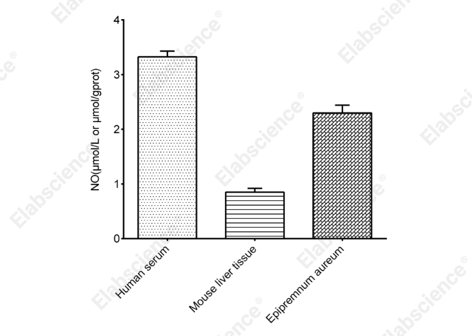 Nitric Oxide (NO) Colorimetric Assay Kit - 2