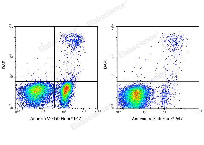 Annexin V-Elab Fluor® 647/DAPI Apoptosis Kit-1