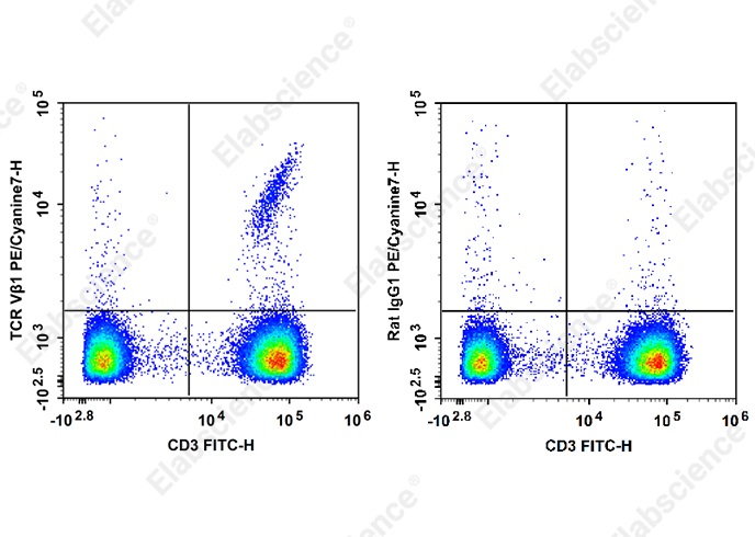 PE/Cyanine 7 Anti-Human TCR Vβ1 Antibody[BL37.2] - 1