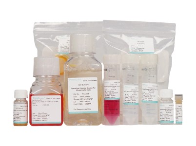 Mouse Kupffer Cell Isolation and Culture Kit