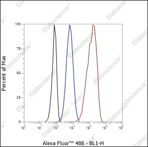 Recombinant p130 Cas Monoclonal Antibody - 2