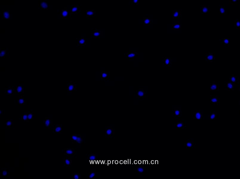 https://789.bio/ec/0OVSOG