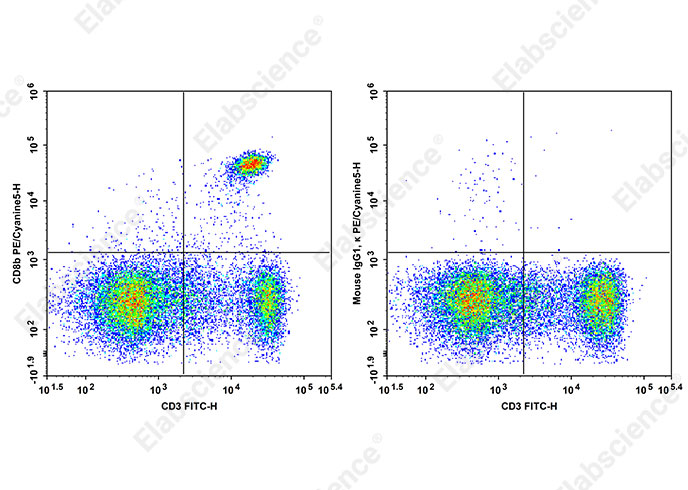 PE/Cyanine5 Anti-Mouse CD8b Antibody[YTS156.7.7]-searchlist-1