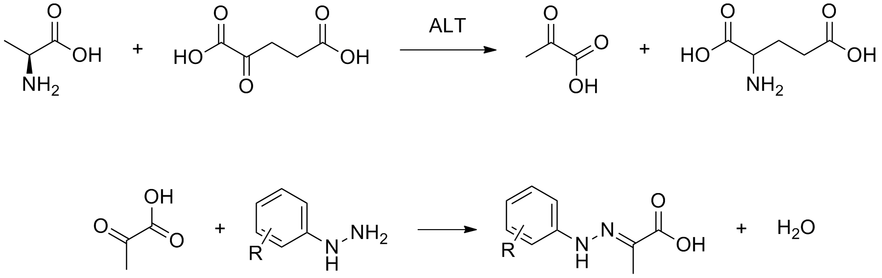 谷丙转氨酶（ALT/GPT）比色法测试盒（E-BC-K235-M）-Elabscience伊莱瑞特