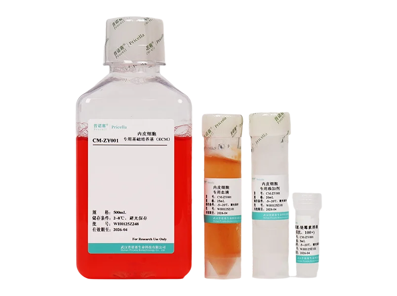 https://789.bio/ec/0Rpq18