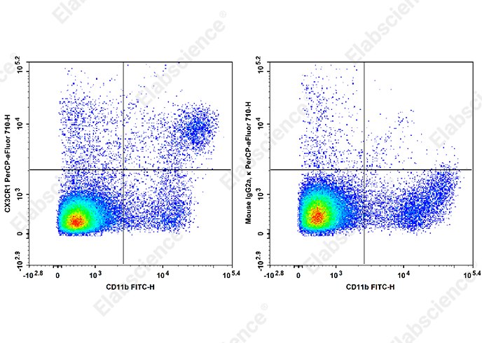 Staining of C57BL/6 murine splenocytes cells with FITC Anti-Mouse CD11b Antibody and PerCP/Cyanine5.5 Anti-Mouse CX3CR1 Anyibody[SA011F11] (left) or PerCP/Cyanine5.5 Mouse IgG2a, &kappa; Isotype Control (right). Total viable cells were used for analysis.