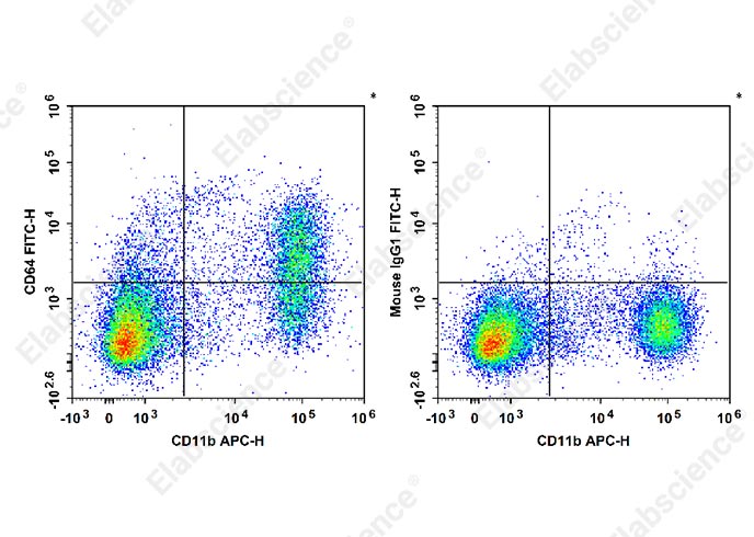 Purified Anti-Mouse NKG2A/C/E Antibody[20D5]-产品推荐-1