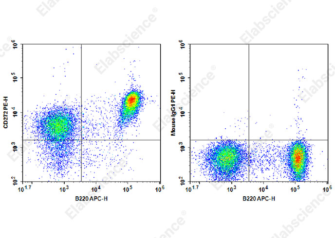Biotin Rat IgG2a, λ Isotype Control[B39-4]-产品推荐-1