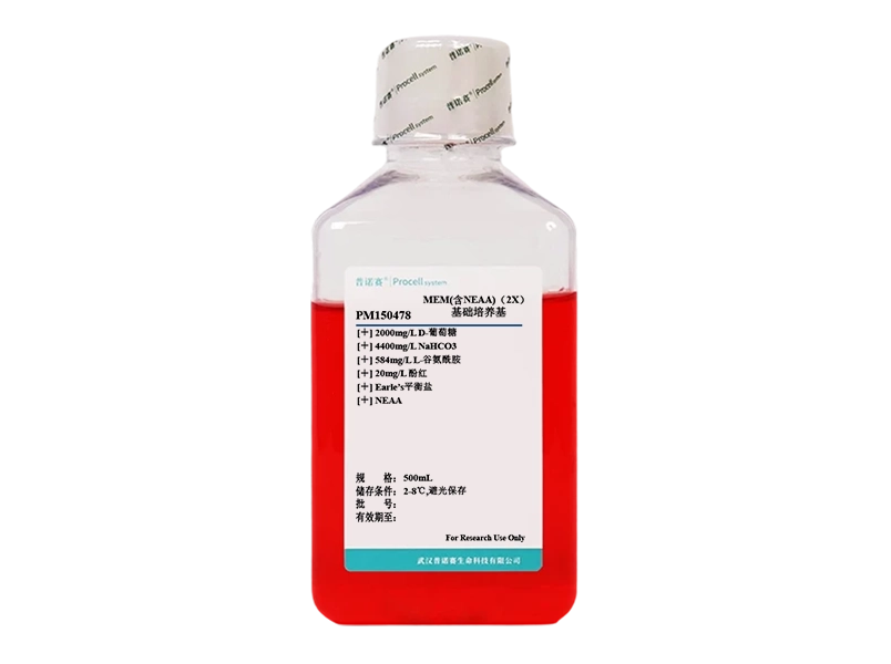 https://789.bio/ec/0YEgiLHj