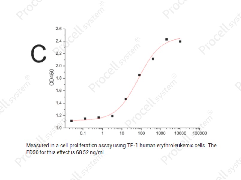 β-NGF/NGF/NGFB/NGF-β, Mouse, Recombinantβ-NGF/NGF/NGFB/NGF-β, Mouse, Recombinant - 2