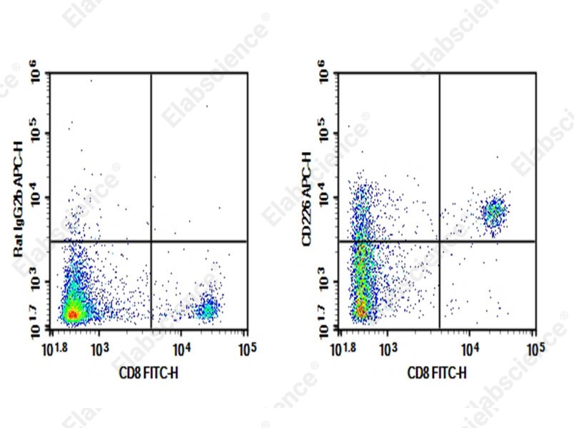 Purified Anti-Mouse CD226 Antibody[10E5] - 1