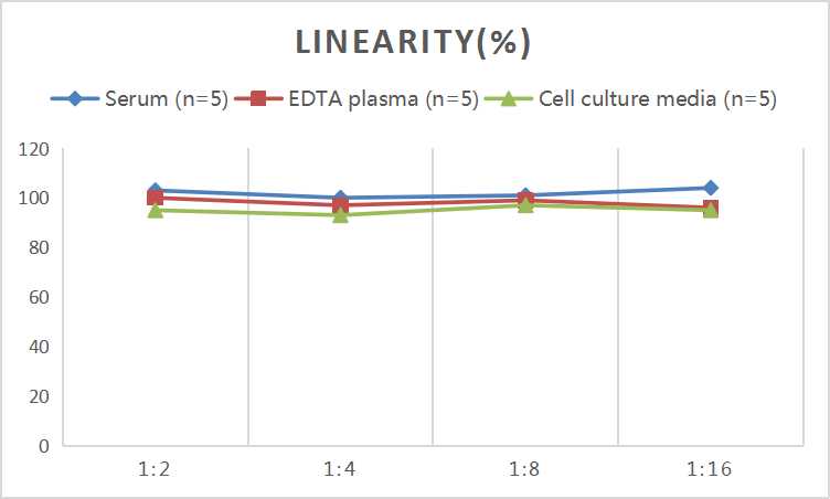 Mouse CD40 (Cluster of Differentiation 40) ELISA Kit - small - 2