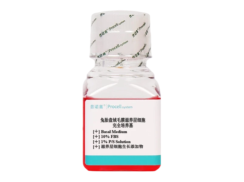https://789.bio/ec/0fn4axEi