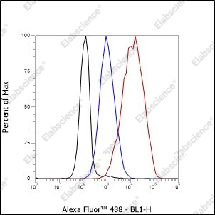 Recombinant HLA-DRB1 Monoclonal Antibody - 4