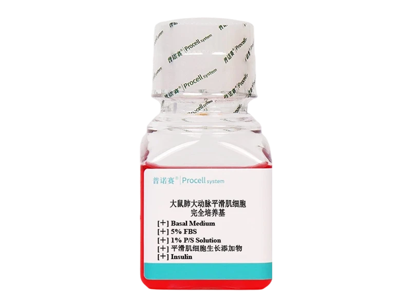 https://789.bio/ec/0gt8Tc5m