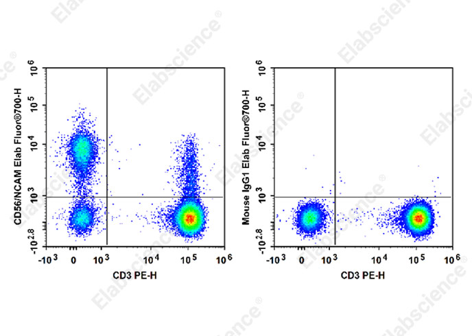 Elab Fluor® 700 Anti-Human CD56/NCAM Antibody[MY31]-1