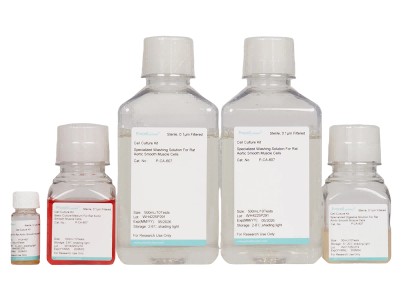 Rat Aortic Smooth Muscle Cell Isolation and Culture KitRat Aortic Smooth Muscle Cell Isolation and Culture Kit - 2