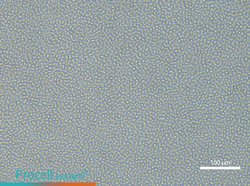 ML-2 Cell Complete MediumML-2 Cell Complete Medium - 1