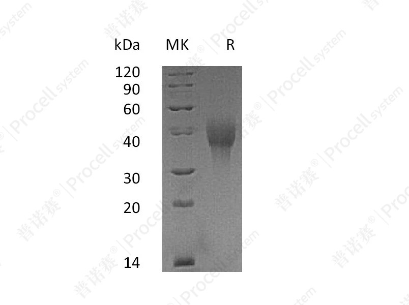 https://789.bio/ec/0pSKK8