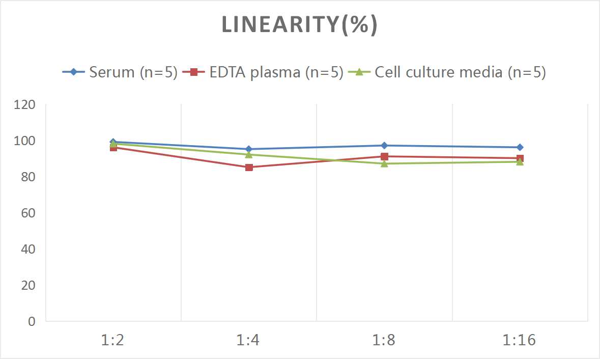 Human HPX(Hemopexin) ELISA Kit - small - 2