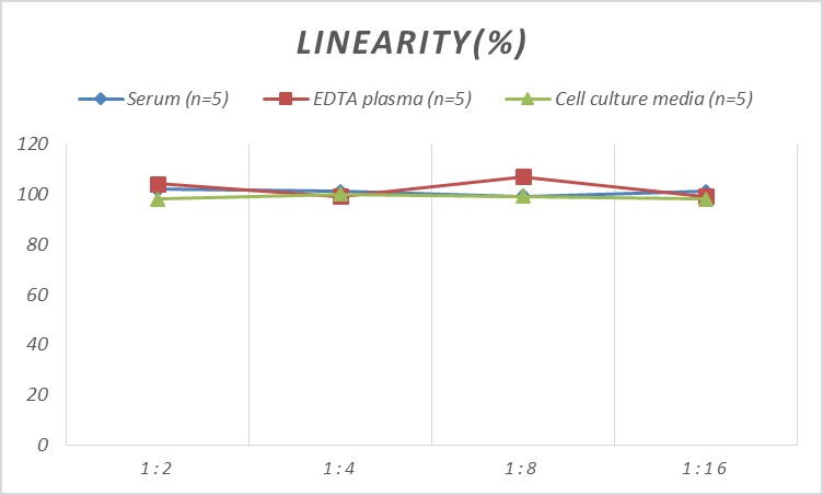 High Sensitivity Human IL-8 (Interleukin 8) ELISA Kit-产品推荐-2