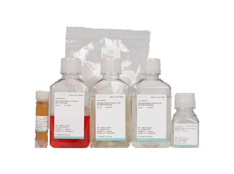 Rat Bone Marrow Monocyte Isolation and Culture KitRat Bone Marrow Monocyte Isolation and Culture Kit - 2