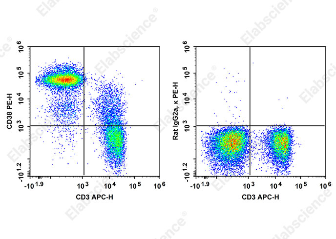 PE Anti-Mouse CD38 Antibody[90]-searchlist-1