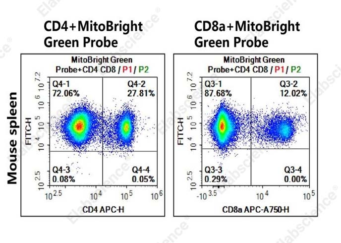 MitoBright Green Probe Assay Kit-1
