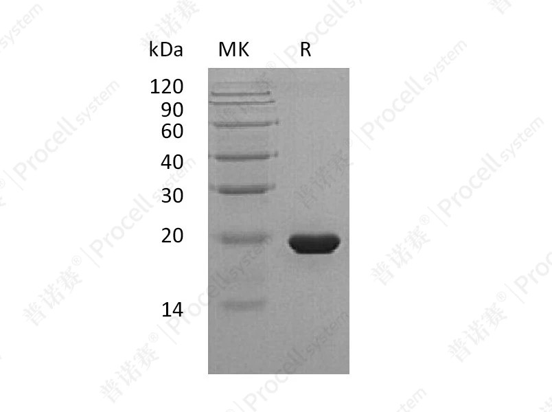 https://789.bio/ec/0tSR84