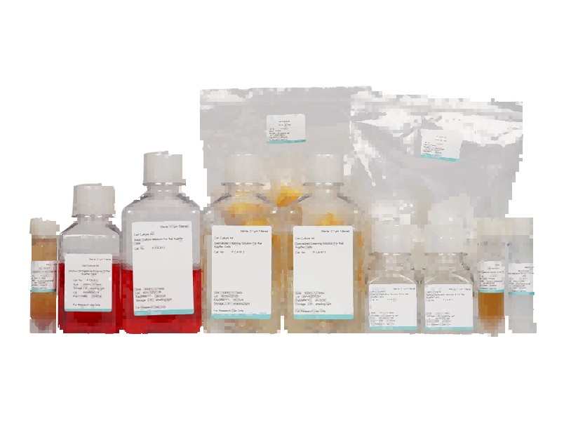 Rat Kupffer Cell Isolation and Culture KitRat Kupffer Cell Isolation and Culture Kit - 2