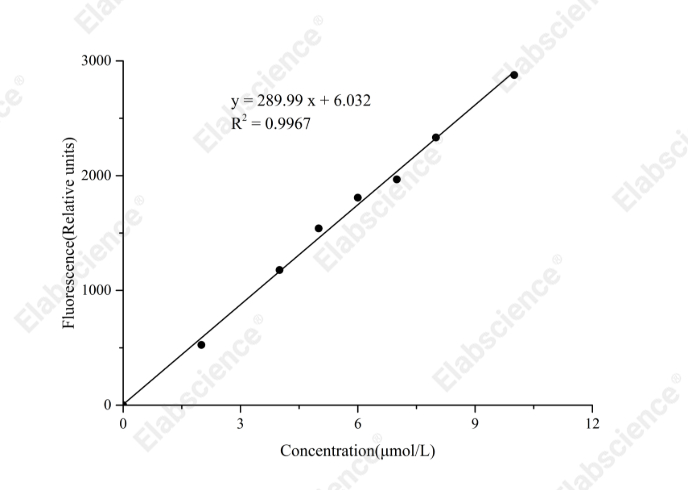 Lipoxygenase (LOX) Activity Fluorometric Assay Kit - 1