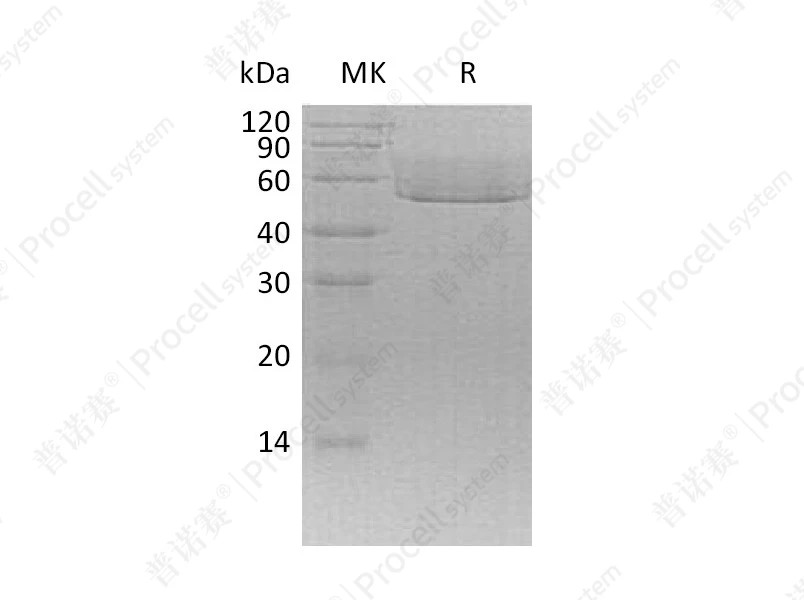 https://789.bio/ec/10V5xL