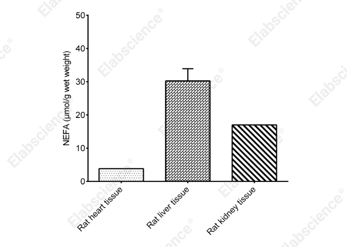 Non-esterified Free Fatty Acids (NEFA/FFA) Colorimetric Assay Kit - 2