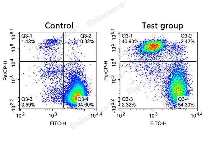 Calcein AM Assay Buffer-1