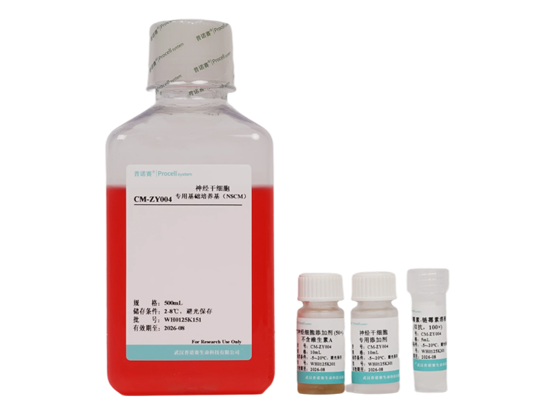 Neural Stem Cell Medium (NSCM)-searchlist-1