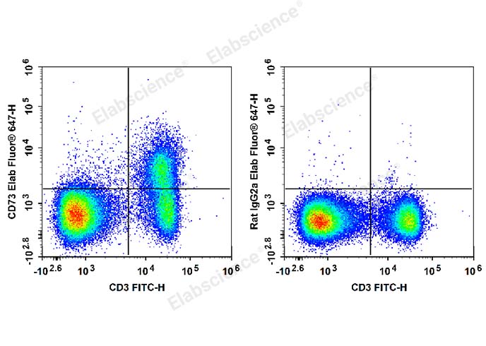 C57BL/6 murine splenocytes are stained with FITC Anti-Mouse CD3 Antibody and Elab Fluor® 647 Anti-Mouse CD73 Antibody (Left). Splenocytes are stained with FITC Anti-Mouse CD3 Antibody and Elab Fluor® 647 Rat IgG2a, κ Isotype Control (Right).