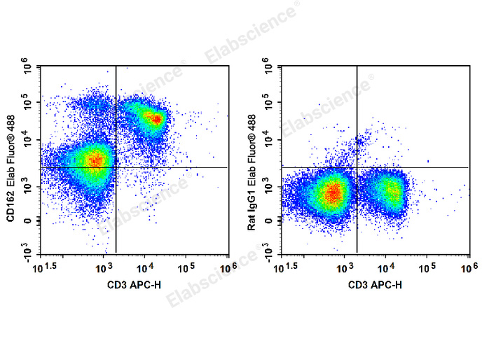 C57BL/6 murine splenocytes are stained with APC Anti-Mouse CD3 Antibody and Elab Fluor® 488 Anti-Mouse CD162 Antibody (Left). Splenocytes are stained with APC Anti-Mouse CD3 Antibody and Elab Fluor® 488 Rat IgG1, κ Isotype Control (Right).